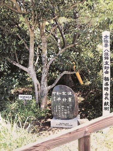 楊名時師家が当地を訪れた際、献樹された｢クロガネモチ｣の樹